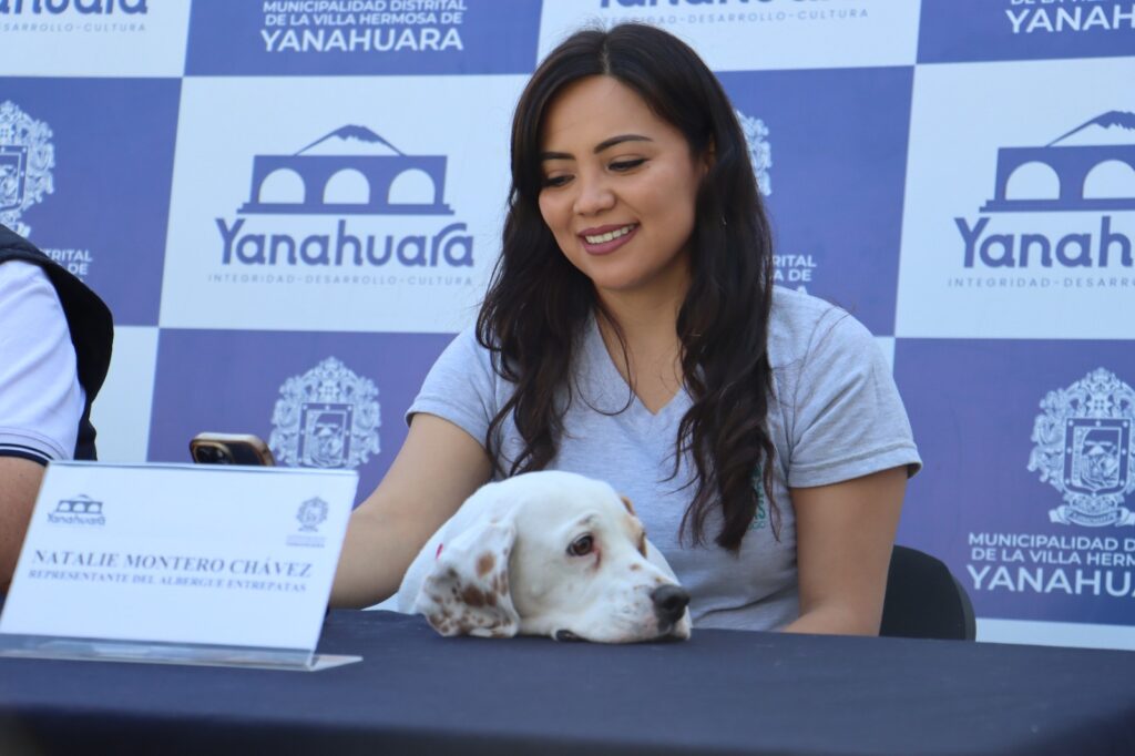 Mascotón en Yanahuara